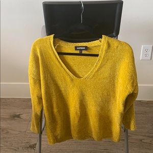 Express velvet chenille sweater